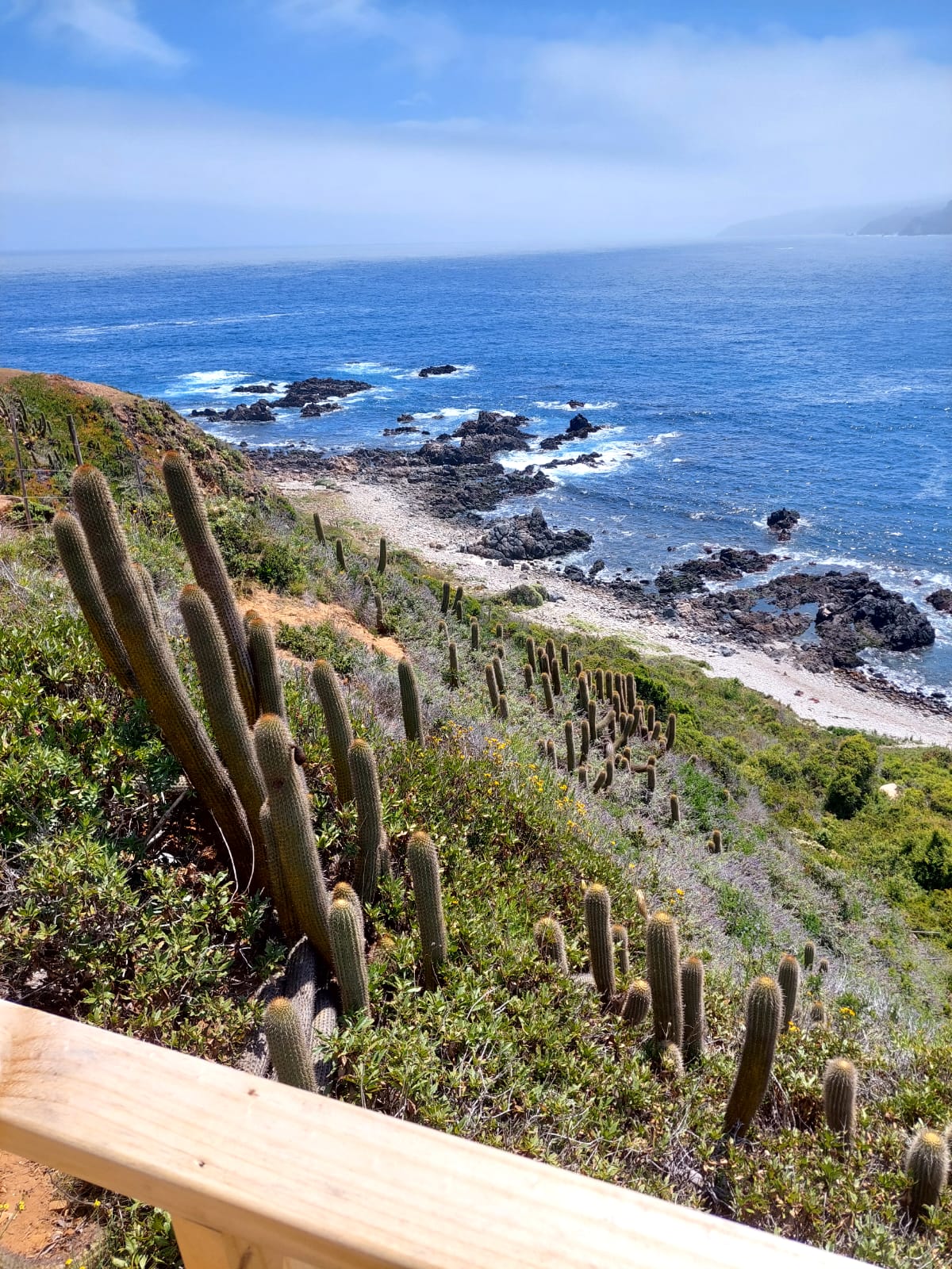 Frente costero y acantilados de Punta Ballena